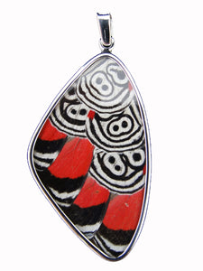 Butterfly Wing Pendant Cramers 88 Butterfly Size XL