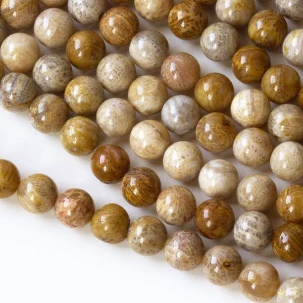 Petrified Coral Fossil 16 inch strand of 8mm round beads