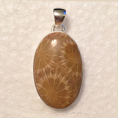 Fossilized Coral Pendant in Silver Oval Frame