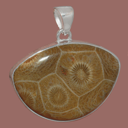 Fossilized Coral Pendant with beautiful tortoiseshell pattern