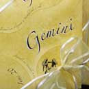 Gemini Wrapping Paper