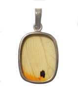 Butterfly Wing Pendant of Great Orange Tipped Butterfly in Small Oblong Shape
