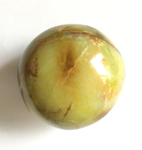 Green Opal Palm Stone 5.6 oz size