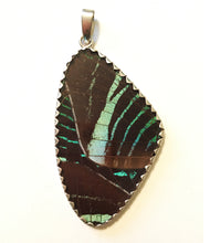 Load image into Gallery viewer, Butterfly Wing Pendant Green Banded Urania Leilus Moth XL