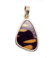 Harmonia Hermina Tigerwing Butterfly Wing Pendant Small Size