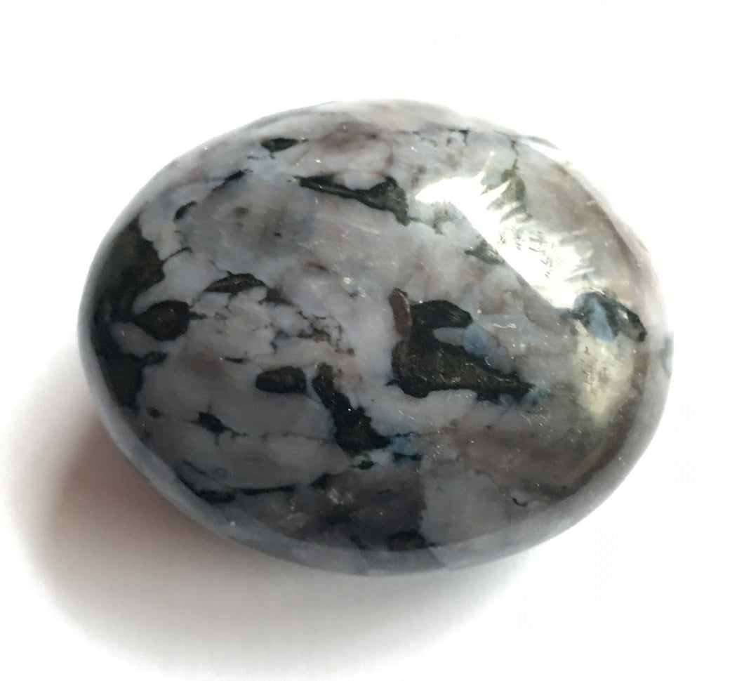 Indigo Gabbro Palm Stone aka Merlinite Dendritic Opal