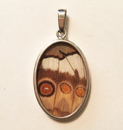 Butterfly Wing Pendant Jungle Queen in Medium Oval Shape