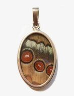 Butterfly Wing Pendant Jungle Queen in Small Oval