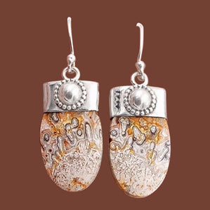 Mexican Laguna Lace Agate Earrings in Silver