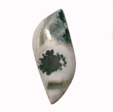 Load image into Gallery viewer, Ocean Wave Jasper Cabochon