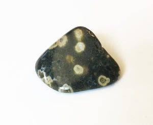 Ocean Jasper Natural Tumbled Stones Quarter Pound Lot - A Quality