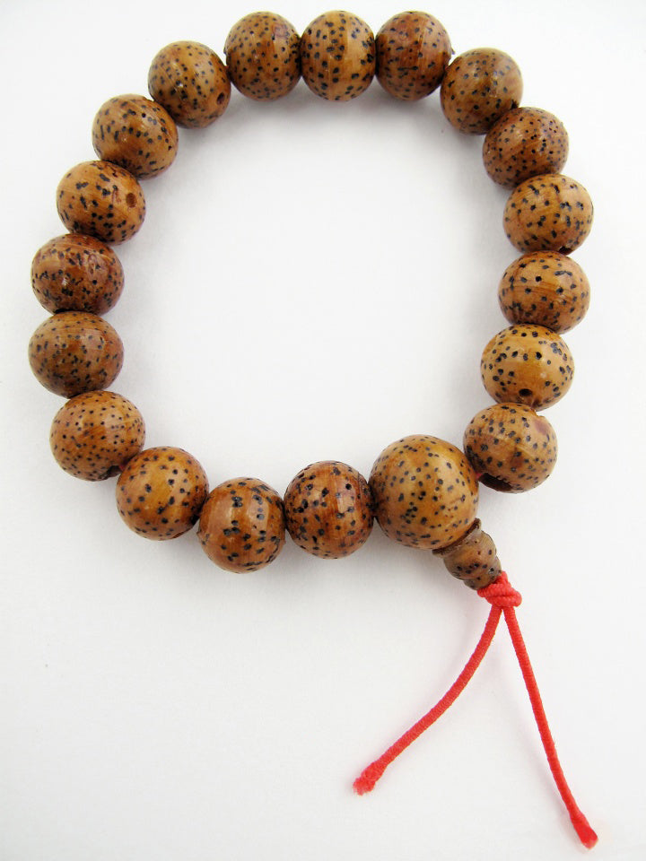 Brown Lotus Seed Bracelet for an easier path of evolution.