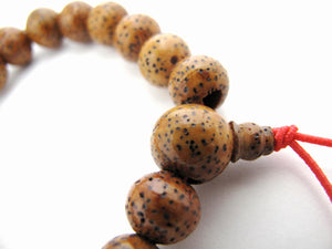 Brown Lotus Seed Bracelet for an easier path of evolution.