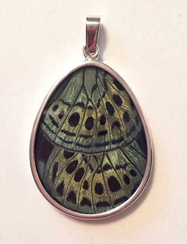 Peacock Butterfly Wing Pendant Large Pear Shape