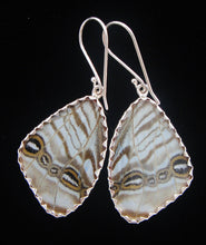 Load image into Gallery viewer, Pearl Blue Morpho Butterfly Earrings medium size