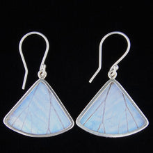 Load image into Gallery viewer, Butterfly Wing Pearl Blue Morpho Butterfly Earrings in a Fan Shape