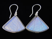 Load image into Gallery viewer, Butterfly Wing Pearl Blue Morpho Butterfly Earrings in a Fan Shape