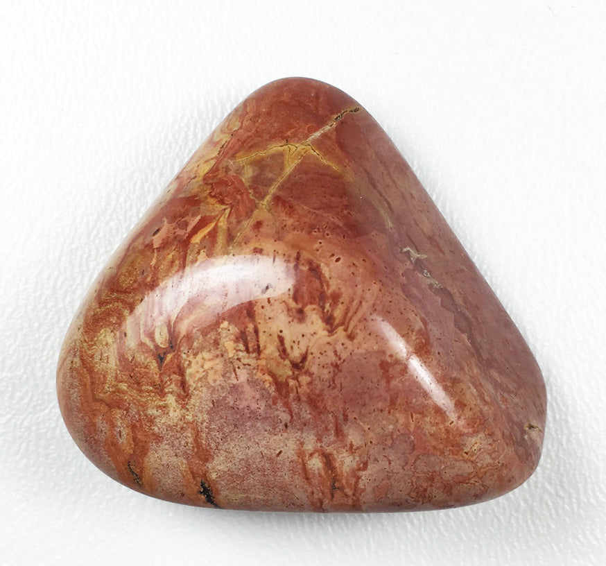 Petrified Wood Small Gallet to Channel your excess nervous energy into poise and grace.