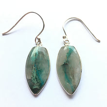 Load image into Gallery viewer, Quantum Quattro Silica TM Earrings Sterling Silver