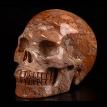 Load image into Gallery viewer, Red Crazy Lace Agate Skull 1 lb!