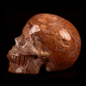 Red Crazy Lace Agate Skull 1 lb!