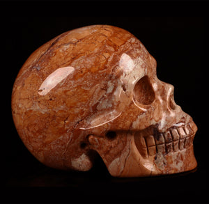 Red Crazy Lace Agate Skull 1 lb!
