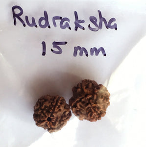 Rudraksha Mala Beads bag of two 15mm Beads
