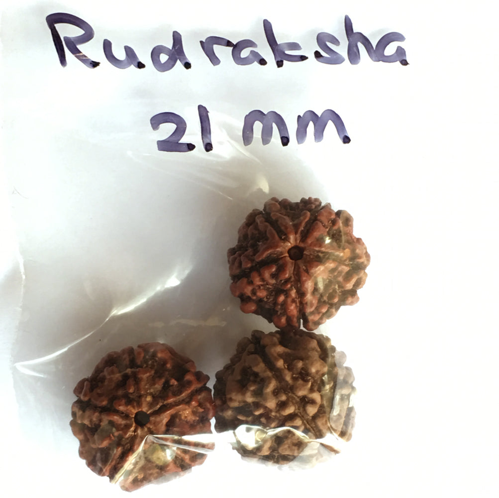 Rudraksha Mala Beads bag of three 21mm Beads