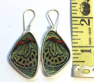 Butterfly Wing Earrings Green and Red Peacock Butterfly Large