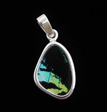 Load image into Gallery viewer, Butterfly Wing Pendant Green Banded Urania Leilus Extra Small Wing Shape