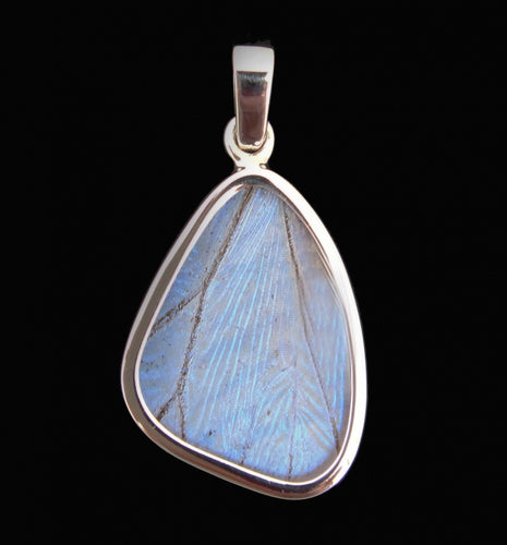 Pearl Blue Morpho Butterfly Pendant in size Small