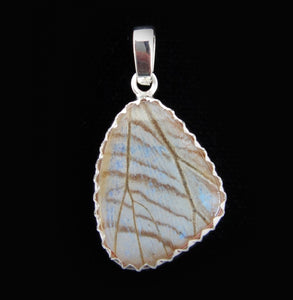 Pearl Blue Morpho Butterfly Pendant in size Small