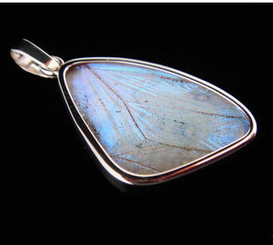 Butterfly Wing Pearl Blue Morpho Pendant medium size