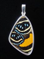 Butterfly Wing Pendant Speckled Numberwing Large Size
