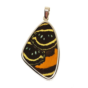 Butterfly Wing Pendant Speckled Numberwing Large Size