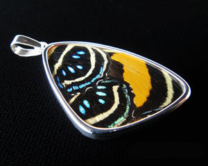 Butterfly Wing Pendant Speckled Numberwing Large Size