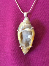 Load image into Gallery viewer, Spiralite Fossil Druzy Shell Pendant