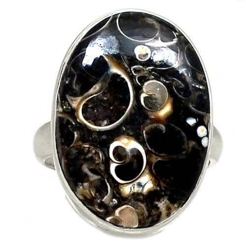 Turritella Agate Ring Size 8 in oval shape
