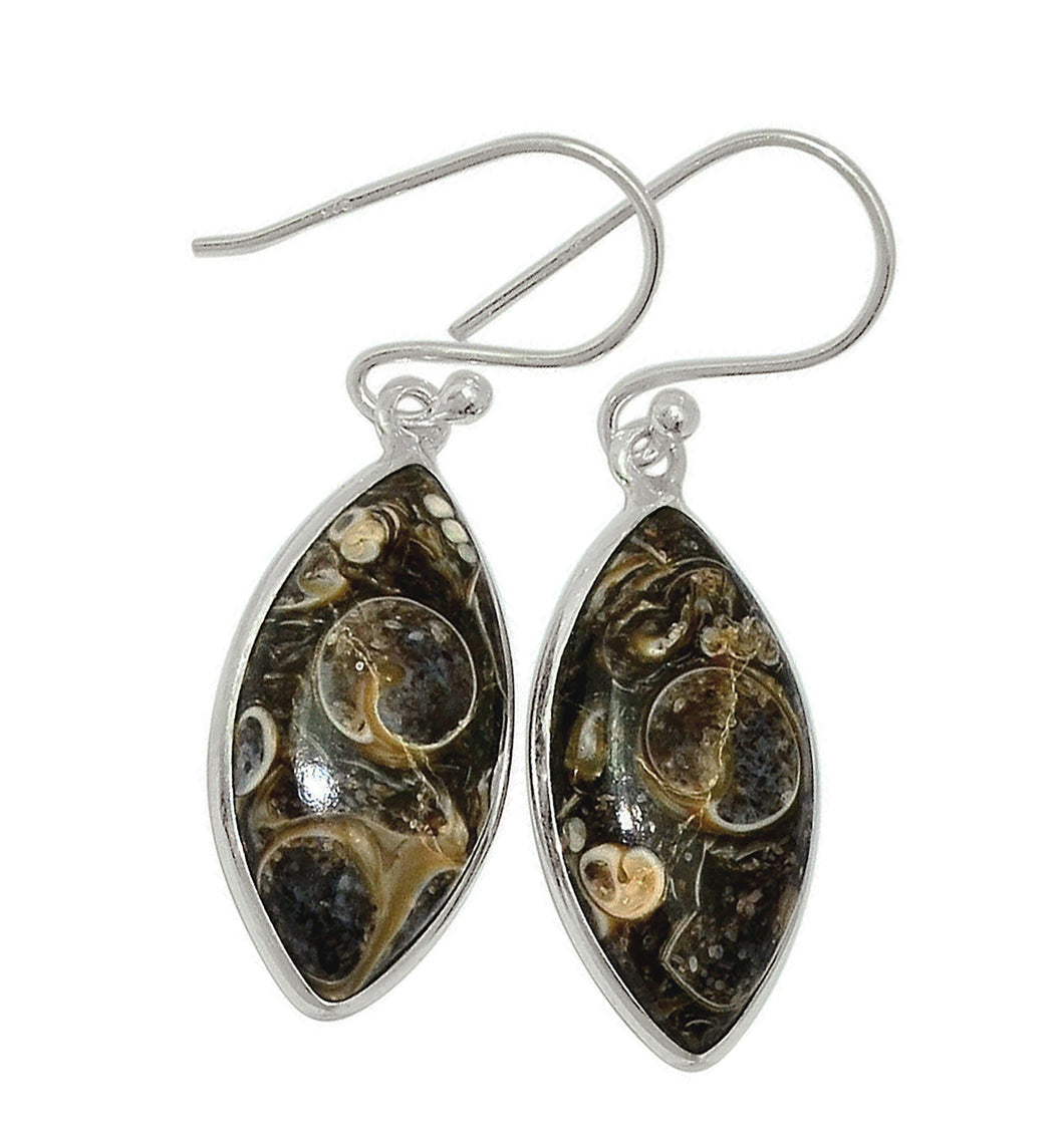 Turritella Agate Earrings in Marquise Sterling Silver Settings