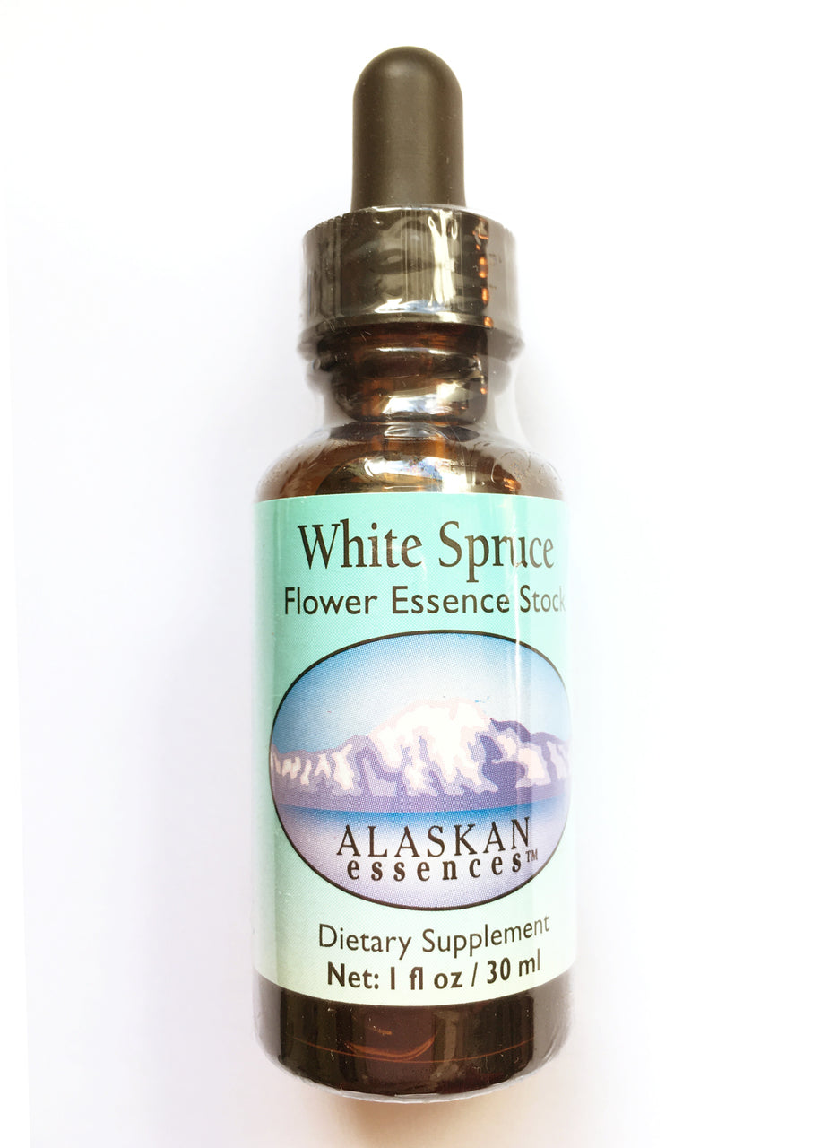 White Spruce Elixir 1 oz size from Alaskan Essences - Picea glauca