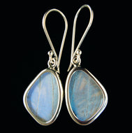 Pearl Blue Morpho Butterfly Earrings in Extra Small