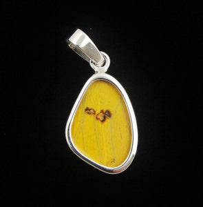 Butterfly Wing Pendant Yellow Phoebis Phillea in Extra Small Size